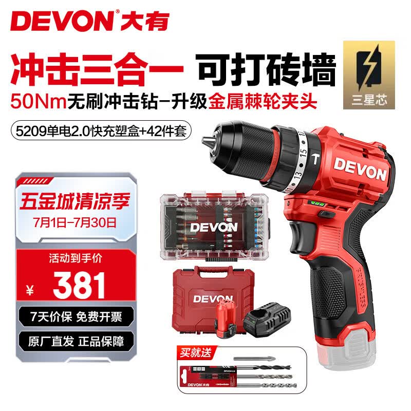 大有（Devon）12V锂电钻5208U 冲击钻5209U家用充电手电钻50Nm大扭力电动螺丝刀 5209U单电2.0快充+42件套 三星芯【塑盒装】