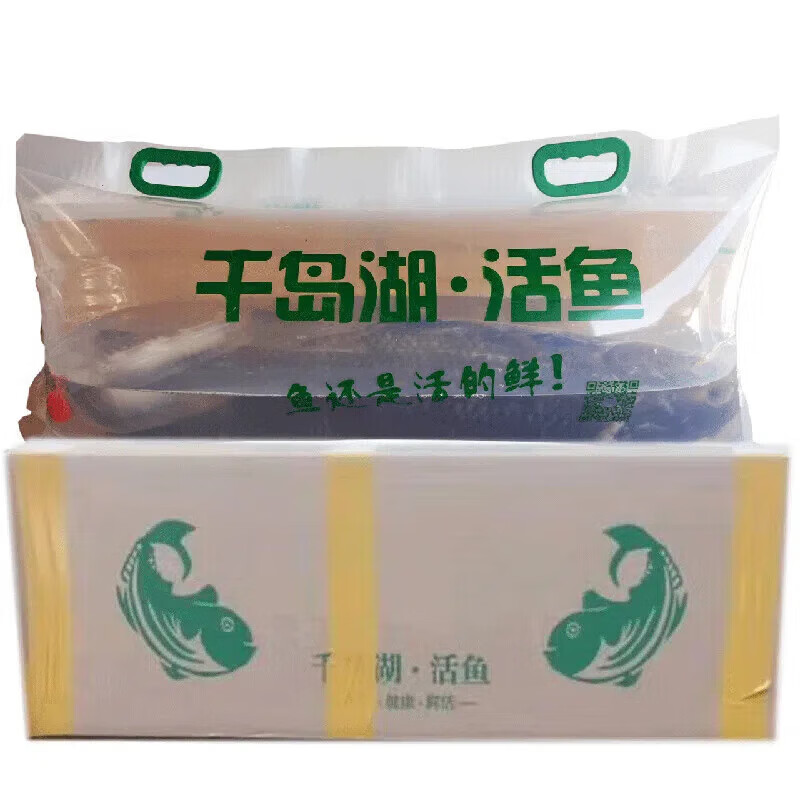 伯贤 5-40斤千岛湖胖头鱼淡水鱼包头鱼大头鱼活鱼到家 10斤