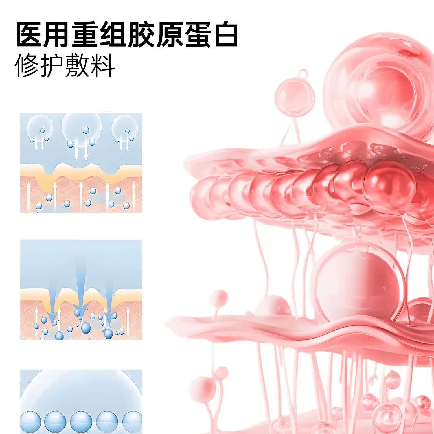VEVT胶原膜护理膜vtt蛋白膜vvt胶原膜重组胶原官方正品 二盒装