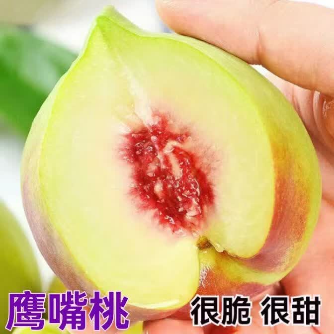 正宗广东河源连平上坪鹰嘴蜜桃脆甜新鲜水果桃子水蜜毛桃产地直发 5斤装【精品中果120g以上】