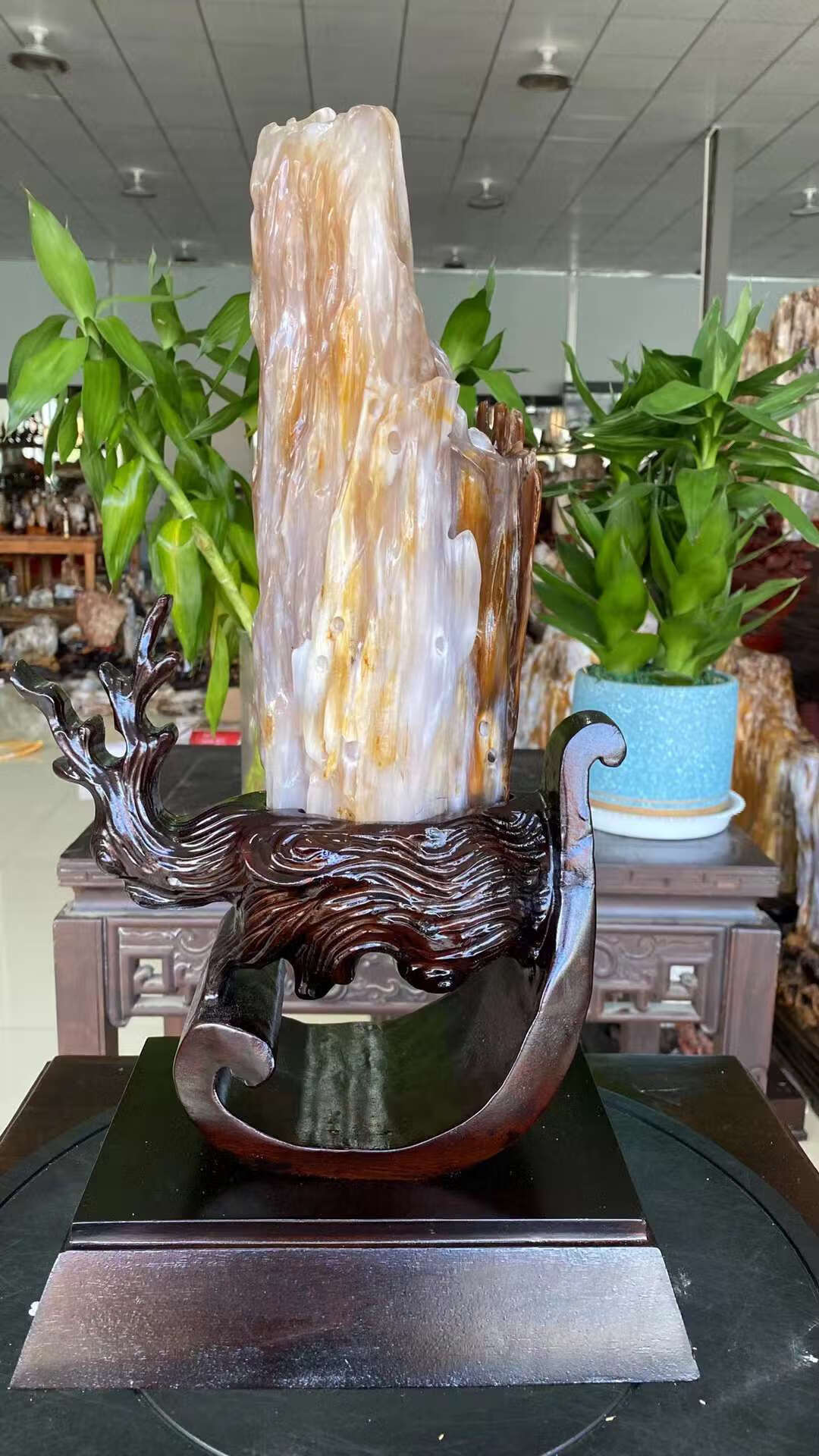 詩華歌迪 缅甸树化玉原石天然硅化木奇石摆件收藏木化石客厅装饰摆件