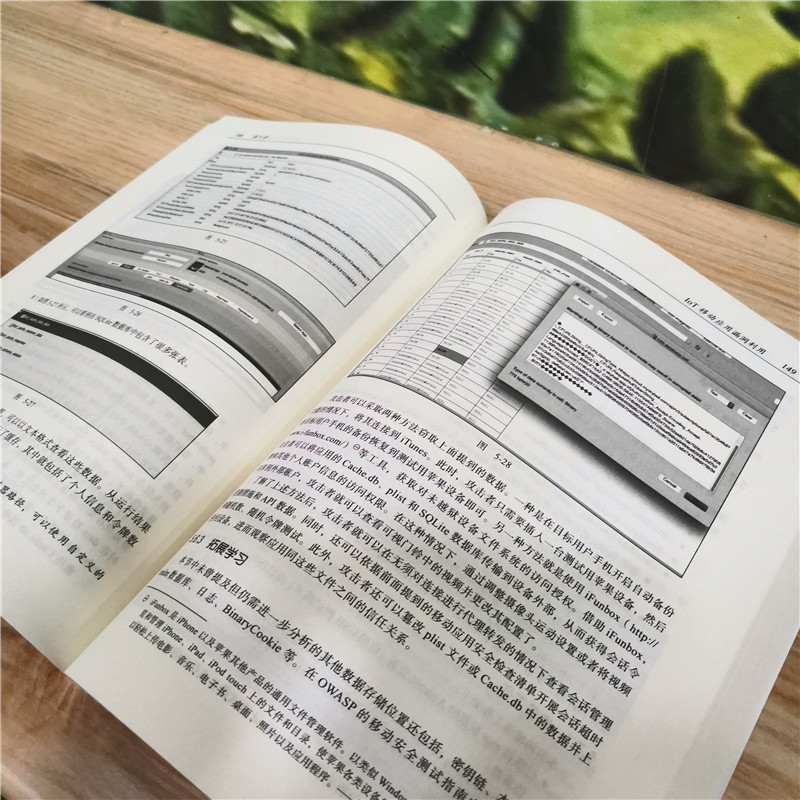 物联网渗透测试详情图