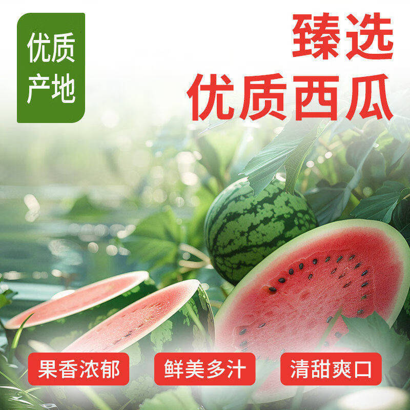 徽天赐农科院推荐西瓜汁冰麒麟纯果汁冷饮整箱解暑官方果汁饮料便携即饮 【鲜爽解腻】冰西瓜汁248ml*16罐