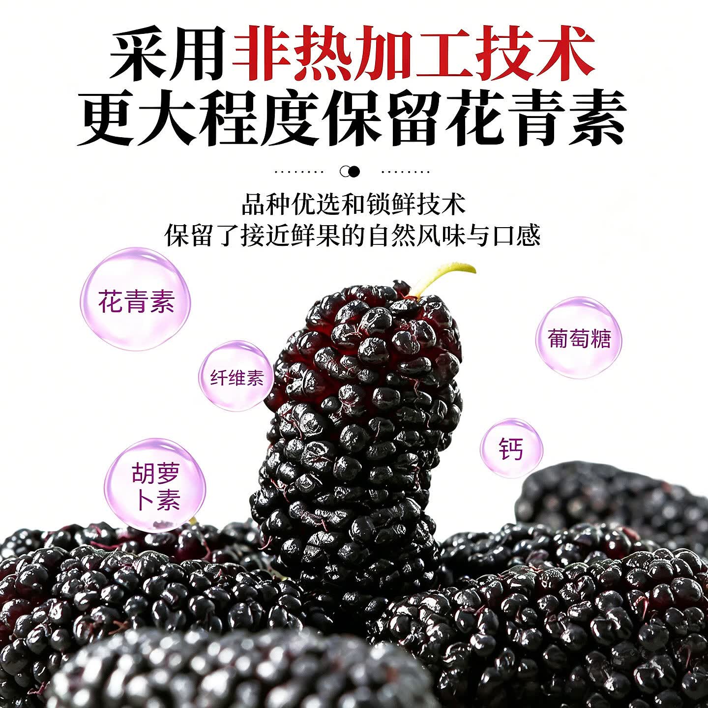 优卓桑葚干黑桑椹特级新疆原产有机黑桑葚干中药材泡水泡酒泡茶专用 【有机黑桑葚】农科院认证力荐 505g*1罐