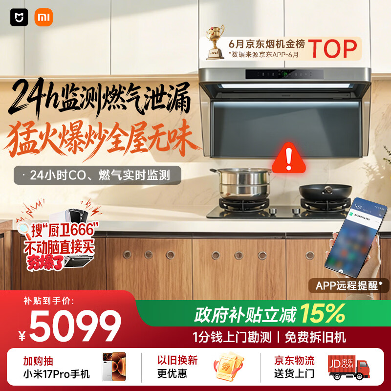 米家小米抽吸油烟机净烟机P2以旧换新上门安装家用大吸力 一级能效【定时燃气灶套装】免拆洗MJ06CY