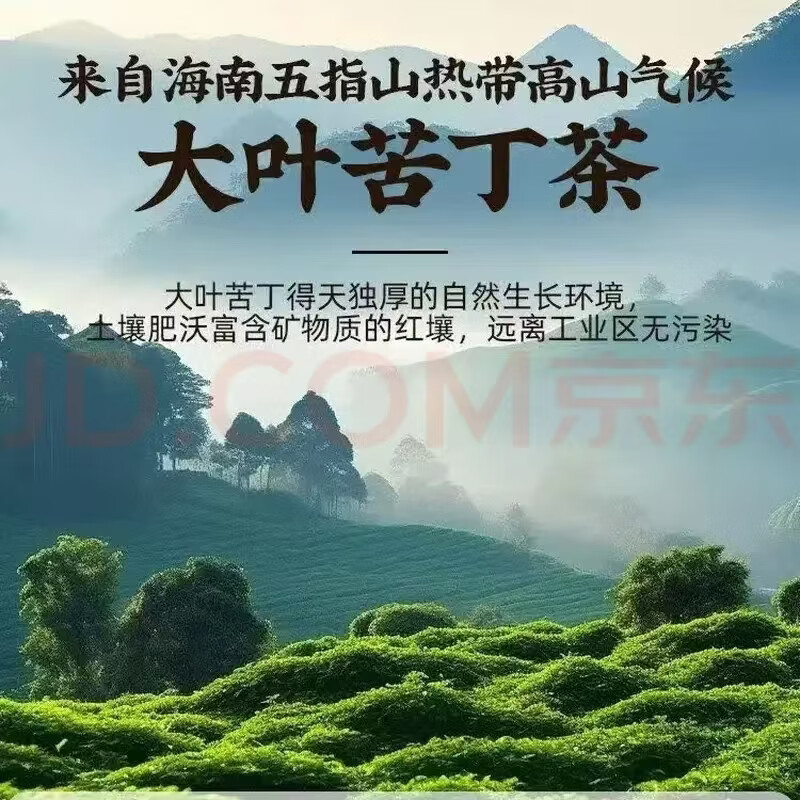 同仁堂正宗特级海南深山大叶苦丁茶中药材泡水清热去火清润解腻养生茶饮 海南特产大叶苦丁茶 500g*2袋 袋装净重