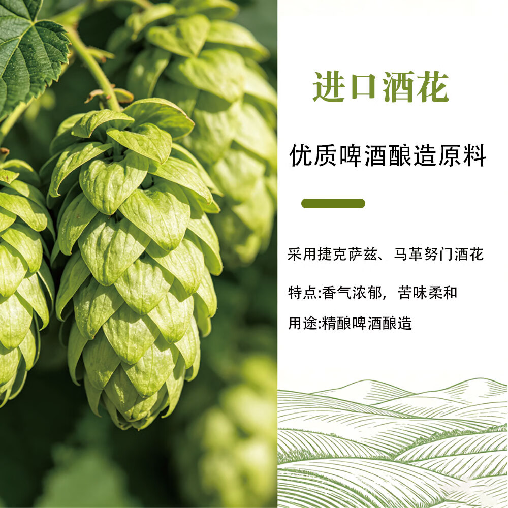 央小啤12P 比利时小麦全麦精酿啤酒 锶型水28天慢发酵进口麦芽整箱送礼 500ml 6瓶 礼盒装