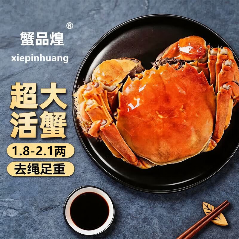 【活蟹】蟹品煌大闸蟹 去绳足重 1.8-2.1两10只 鲜活的六月黄现货海鲜特大螃蟹源头直发