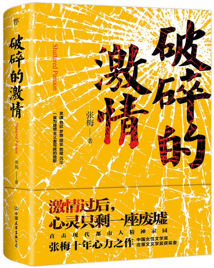 破碎的激情 小说 书籍