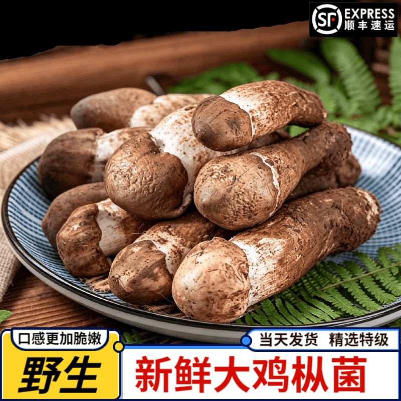 seo黑帽和白帽的区别 - seo黑帽和白帽的区别是什么