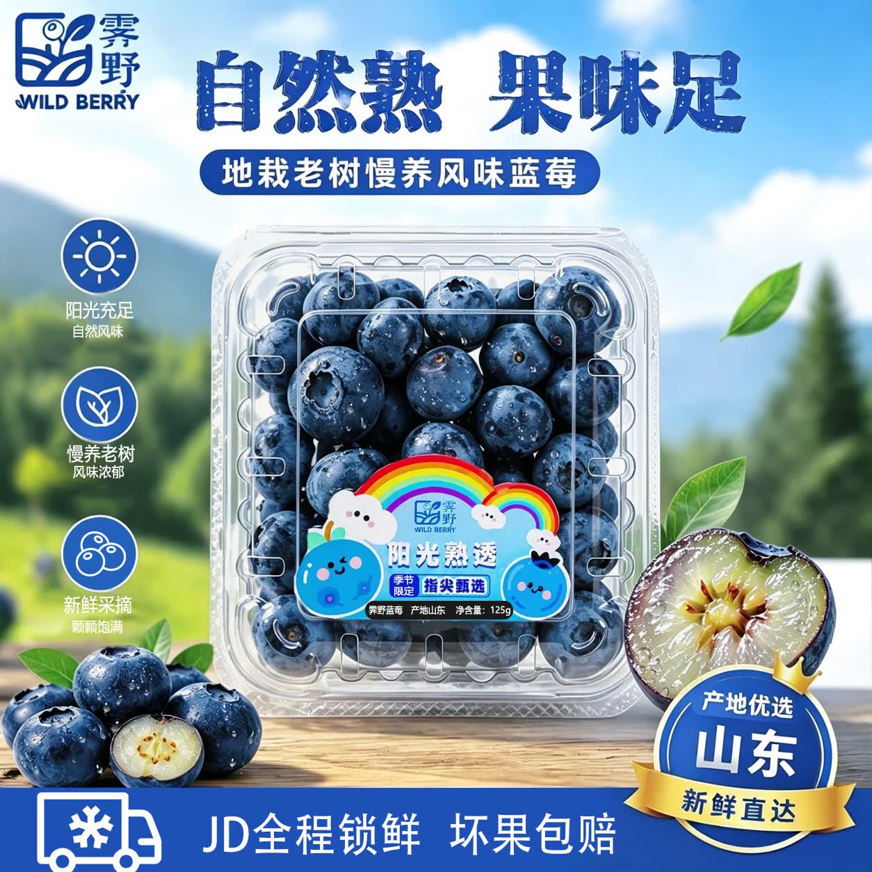 霁野（JIYE）山东地栽新鲜蓝莓 现摘现发 当季生鲜水果 孕妇宝宝辅食 单果15mm+【大果 大多数客户首选】 4盒尝鲜装(净重125g-130g/盒)