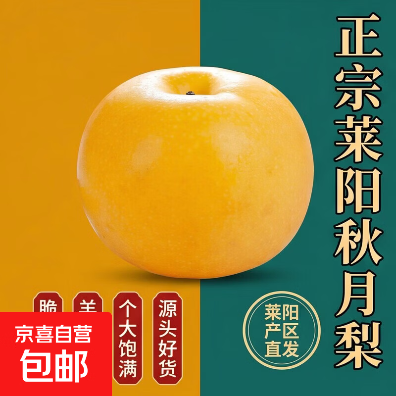 山东正宗秋月梨冰糖无渣新鲜水果甜梨访山客 净重4.5斤+ 7-9个单果250g+