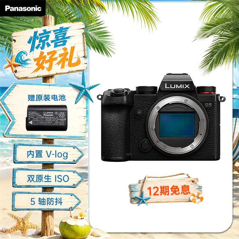 松下S5（Panasonic）全画幅微单相机 数码相机 约2420万有效像素 5轴防抖 双原生ISO V-Log内置