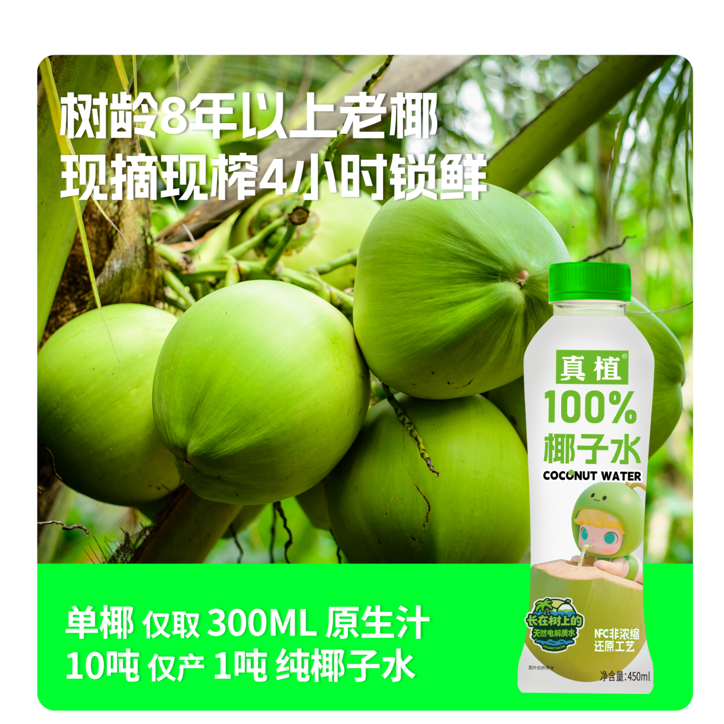 真植100%椰子水天然电解质水450ml一整箱无菌冷灌0添加椰青水 【真植100%椰汁水】450ml*15瓶整箱
