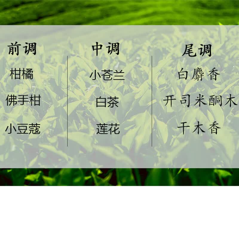 芳草白茶香氛洗护二合一酒店同款洗发水沐浴露高档旅游出差洗护套装 白茶香氛护发洗发露400g*1瓶+白茶香氛沐浴露400g*1瓶