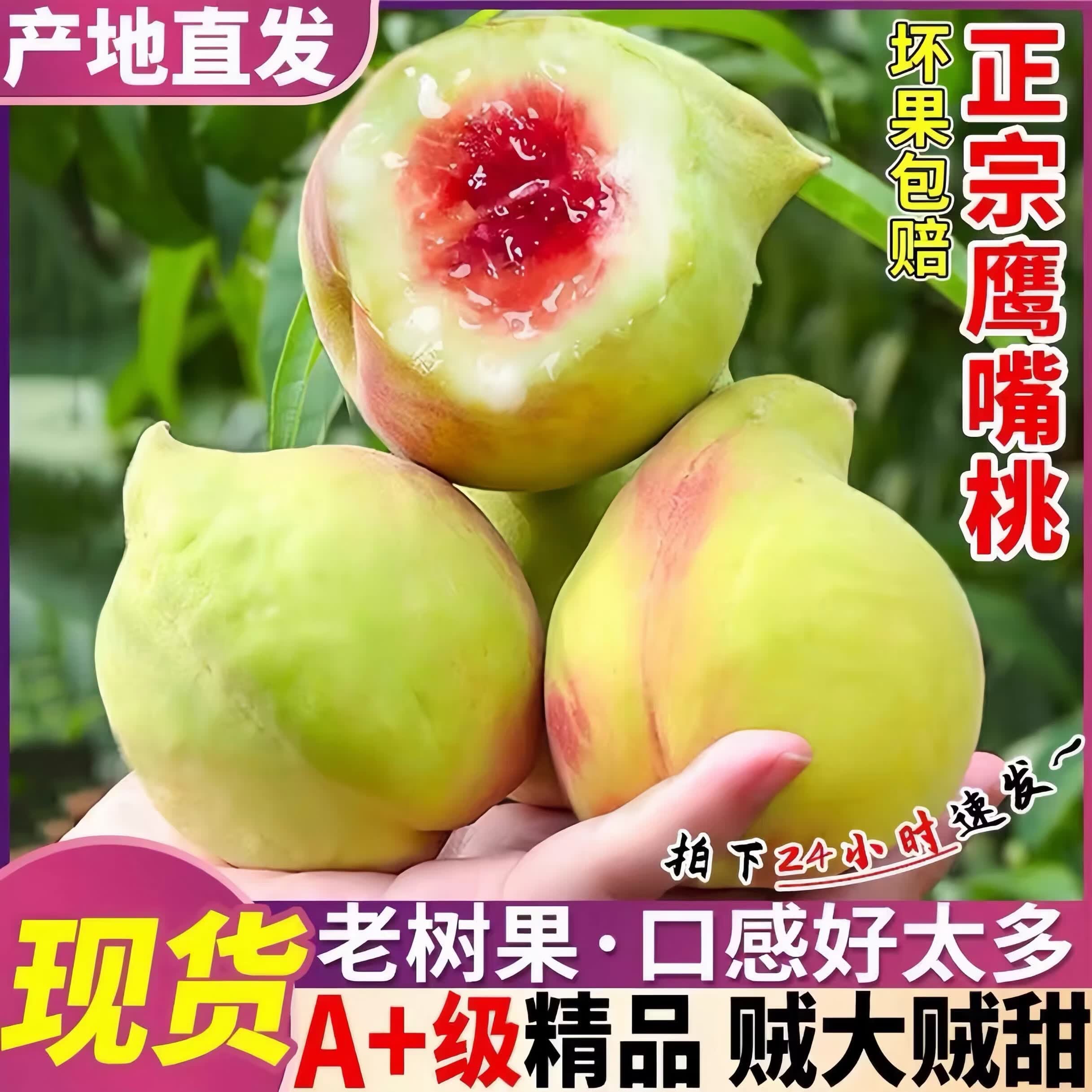 正宗鹰嘴桃新鲜脆桃子应季时令水果当季整箱礼盒甜毛桃非广东连平 百里挑一丨单果180g-200g(果王) 5斤装【高性价比-限时促销】净4.5斤