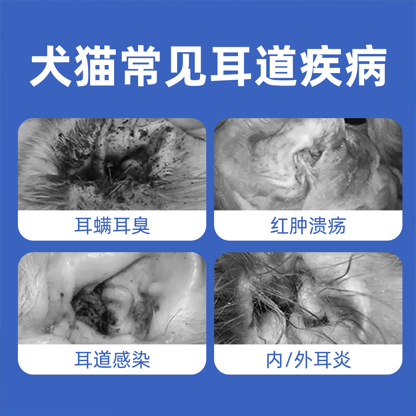阳光鸟复方制霉菌素宠物耳螨软膏猫咪犬耳肤灵去耳螨耳炎专用药 复方制霉菌素软膏 10g*1盒