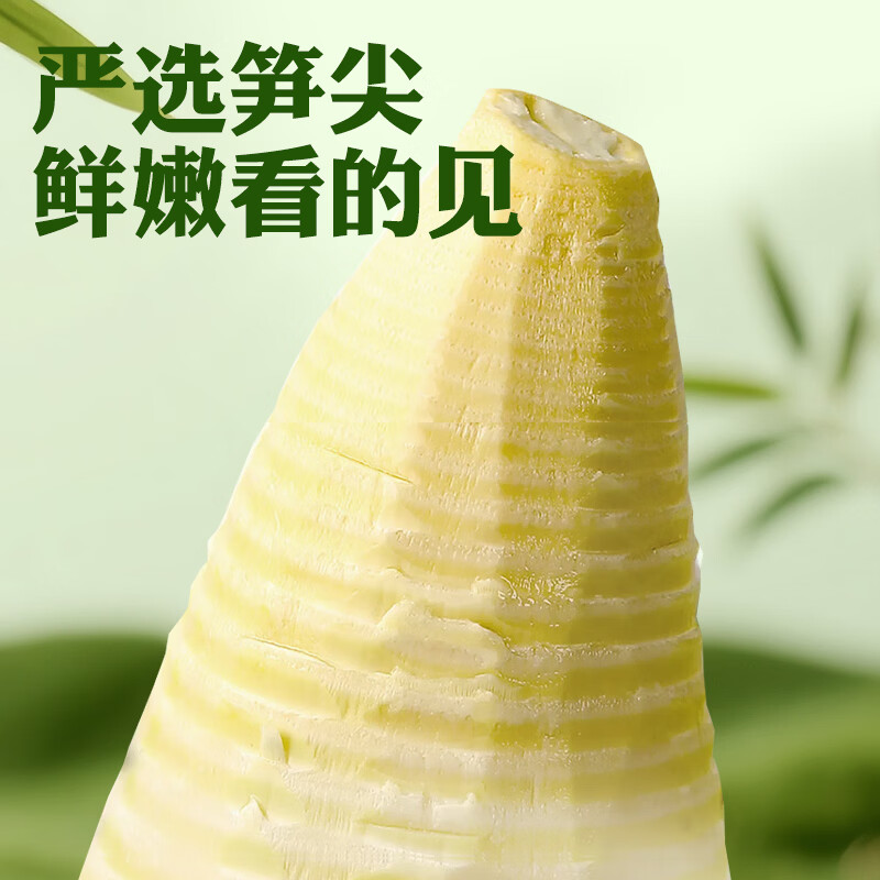 井冈山 有机笋尖江西竹笋笋丝有机可溯源嫩笋尖260g原味嫩笋春笋免切泡 有机笋尖260g*8袋【礼盒装】