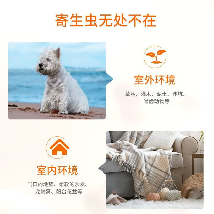 爱沃克狗狗驱虫药体内体外一体同驱跳蚤耳螨虫滴剂宠物金毛泰迪博美驱虫 4-10kg犬用爱沃克 1ml*1盒 （3支装）