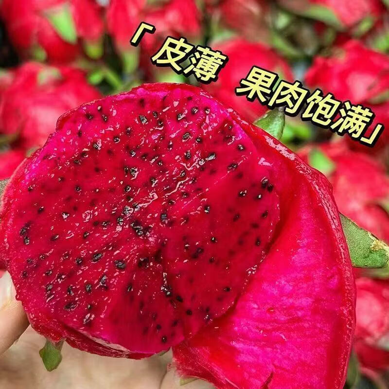 单果300g起】金都一号红心火龙果当季甜红肉正宗应季热带水果批发 净重4.5斤 300g-400g中果