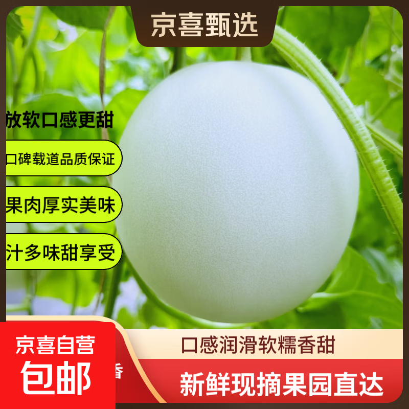 玉菇冰淇淋甜瓜3斤 5.9元 - 86线报