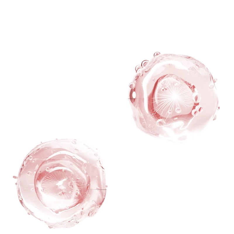 韩束（KanS）红蛮腰抗皱紧致水乳护肤品套装补水保湿化妆品全套送女友礼物 【抗皱紧致】水80ml*2+乳80ml*2
