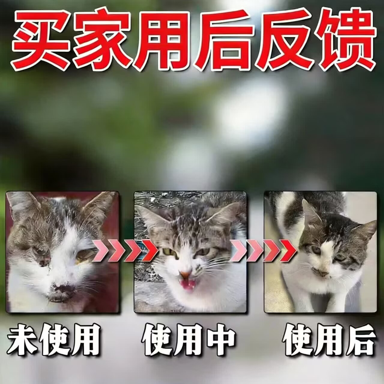猫咪口炎专用猫咪流口水牙龈红肿抑制烂嘴口腔清洁除臭专用口服液 买五盒发九盒【永不再犯】