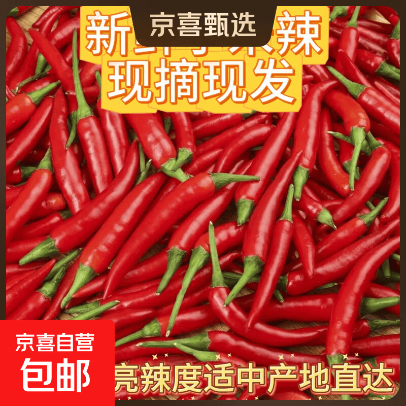 新鲜小米辣朝天椒小米椒巨辣特香鲜货直达 精品小米辣一斤装