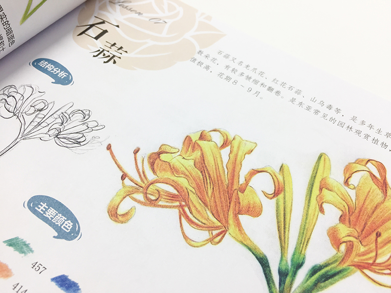 花儿绘生活：37种花卉色铅笔图绘截图