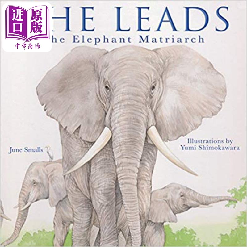 she leads the elephant matriarch 带领大象 英文原版儿童绘本 动物