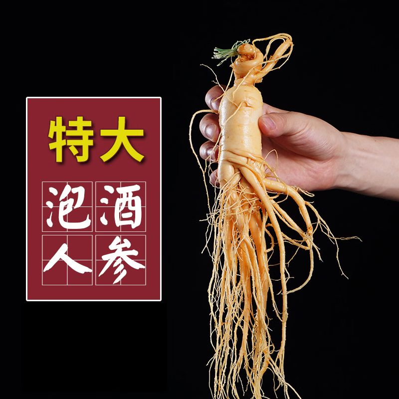 半山农新鲜人参1支约40克 东北特产长白山人参泡酒药材长辈送长辈滋补品
