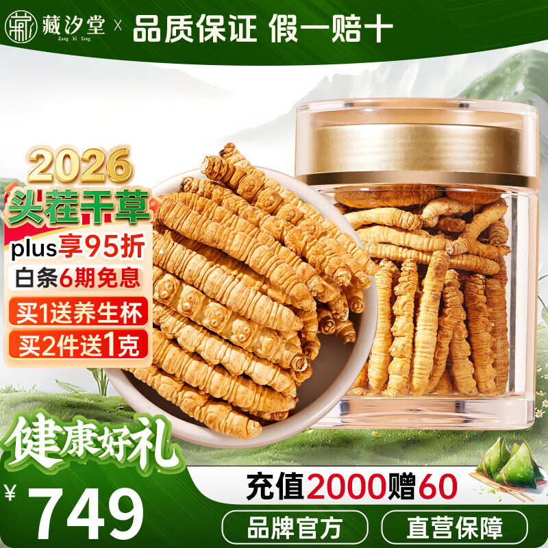 藏汐堂冬虫夏草 新干头期纯肉节虫草 送长辈实惠营养品 滋补品礼盒 纯肉节 10g*1盒 【送养生杯】