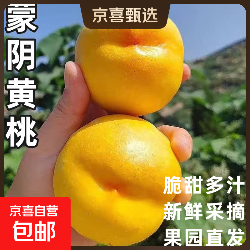 山东蒙阴黄桃蜜油桃脆甜桃子新鲜水果当季水果爆汁应季整箱批发 带箱5斤净重4.5斤（单果80g+）