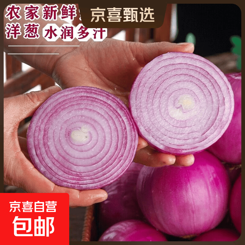 2026当季农家自种新鲜紫皮洋葱现挖新鲜蔬菜洋葱洋葱头脆甜 1斤