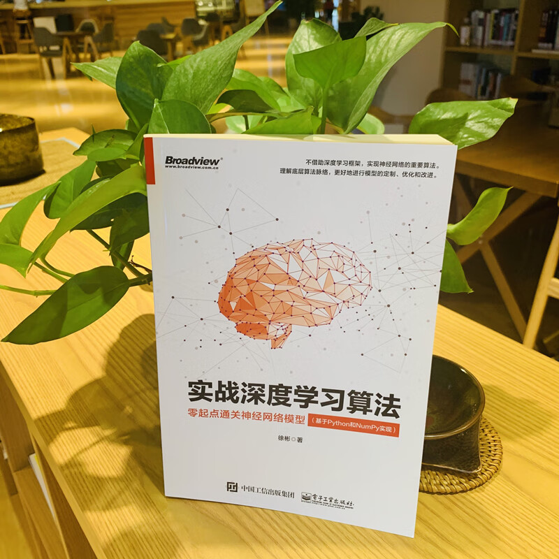 实战深度学习算法:零起点通关神经网络模型(基于Python和NumPy实现)(博文视点出品)详情图