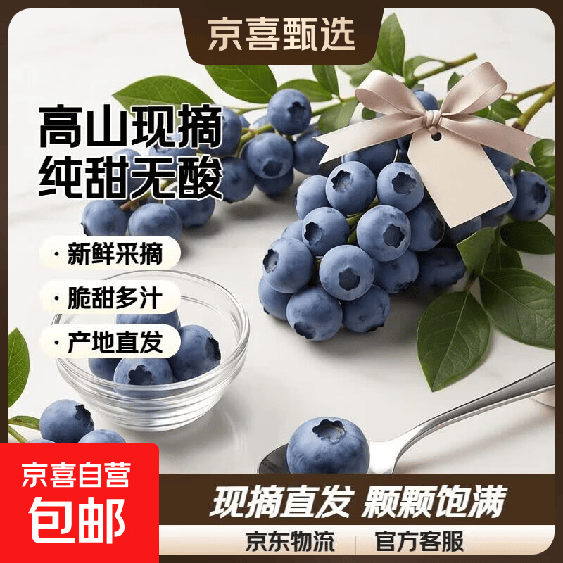 国产江苏L25花香高山蓝莓  新鲜现摘现发 纯甜无酸 12mm+中大果 泡沫箱一斤装（净重100g*4盒）