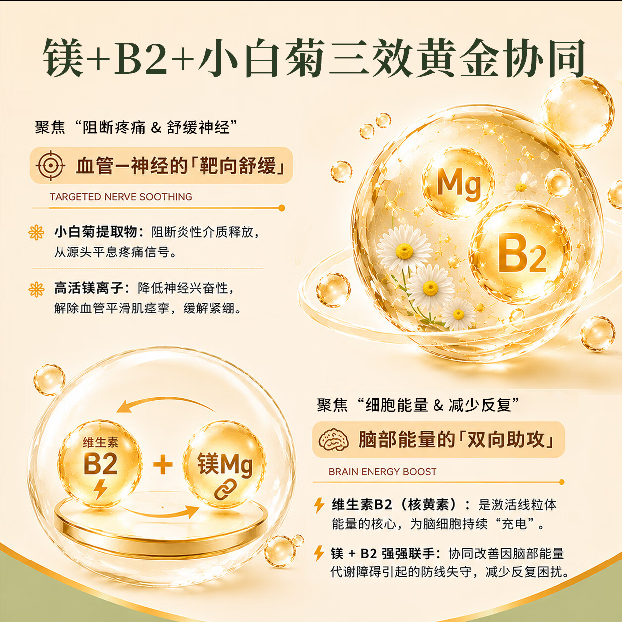 MigreLief【双11热销】迈立疏美国进口预防缓解偏头痛核黄素补镁青少年止痛 预防缓解顽固性偏头痛【疗程装】 60片*3瓶