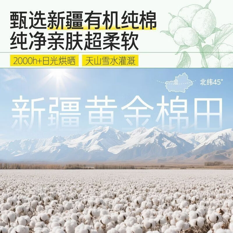 自由点有机纯棉系列卫生巾赵露思同款超薄透气姨妈巾日用夜用组合学生 纯棉 240mm 72片 【日夜周期组合72片】