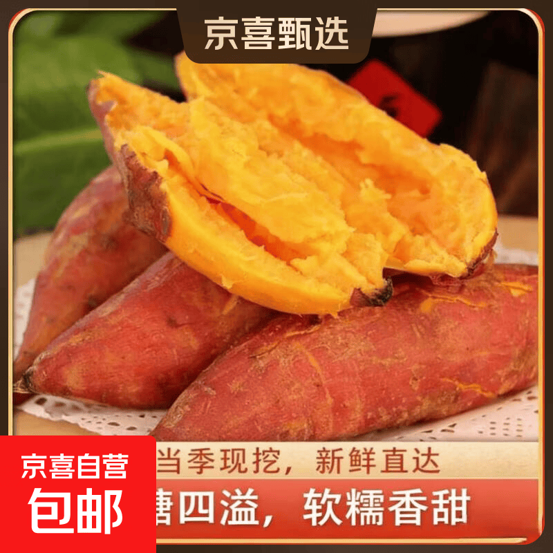 现挖沙地蜜薯红薯新鲜农家糖心番薯烤地瓜软糯批发黄心包邮 沙地蜜薯2斤中大果 含箱