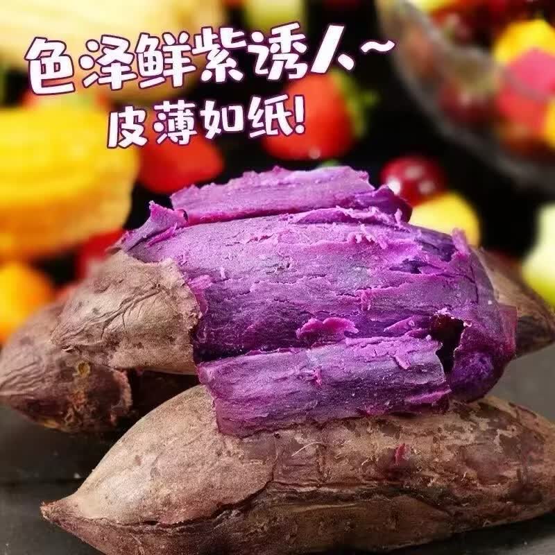九曲食珍广西新鲜紫薯 当季精品紫薯地瓜 软糯香甜健康轻食生鲜蔬菜 中果净重4.5斤（单果150-400g）