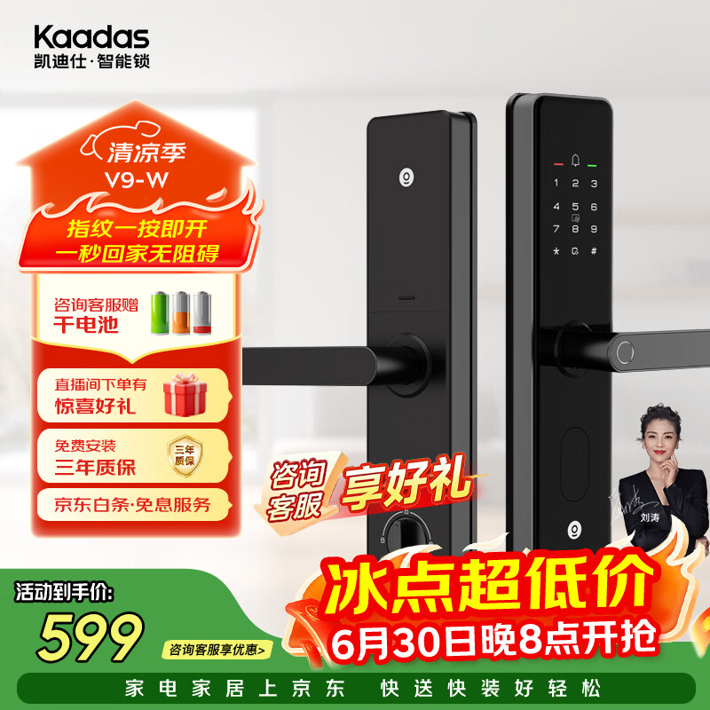 凯迪仕（KAADAS）智能门锁 指纹识别 防盗门锁密码锁 入户门电子智能锁 V9-W