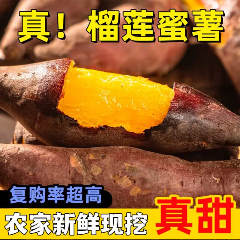 九曲食珍榴莲蜜薯农家黄心红薯新鲜番薯丝滑糖心沙地地瓜软糯黄金现挖大果 4.5斤中果单果100g+