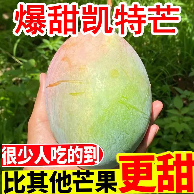 四川攀枝花凯特芒果当季新鲜水果现摘超甜彩虹芒大青吉禄芒果整箱 净重4.5斤（300g+）