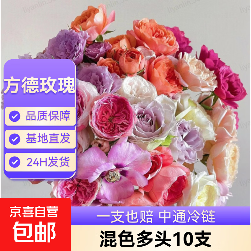 云南鲜花基地直发玫瑰花母亲节520送妈妈暖心礼物 【爆款多头玫瑰】方德40-50CM混色多头10支