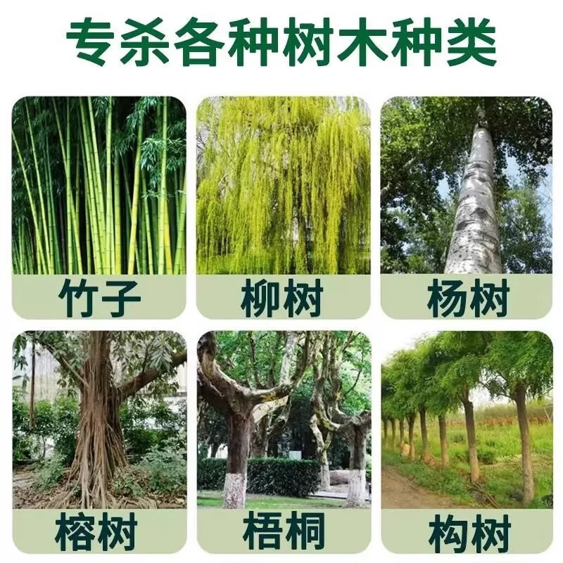灭竹子专用烂竹根连强力除竹粉腐蚀竹根开荒地灌木杂草一扫光神器 买五桶发九桶【永不返青】