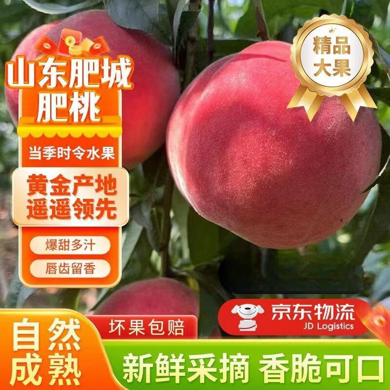 山东特产正宗肥城桃新鲜采摘脆甜特大桃子蜜桃 肥城贡桃 至尊果王礼盒六个装（单果一斤左右）