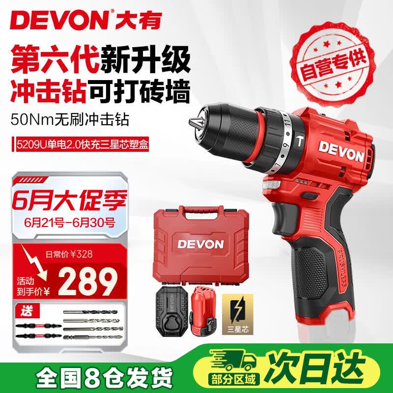 大有（Devon）京东集采JC系列12V无刷冲击手电钻电动螺丝刀电动工具5209U塑盒装
