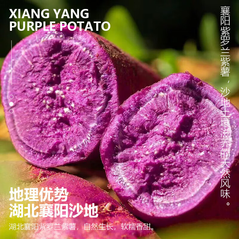 超级好吃得沙地紫罗兰紫薯软糯香甜皮超好剥现挖现发 优选紫薯中果【净重4.5-4.8斤】