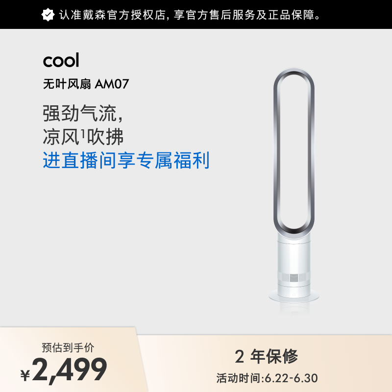 戴森（DYSON）AM07 无叶电风扇 落地扇 强劲稳定气流 进口空气循环扇 银白色