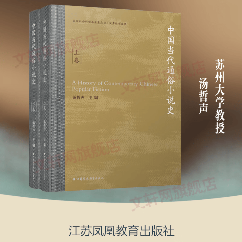 中国当代通俗小说史精装 2册 江苏凤凰教育出版社 汤哲声 主编 精装 书籍 图书